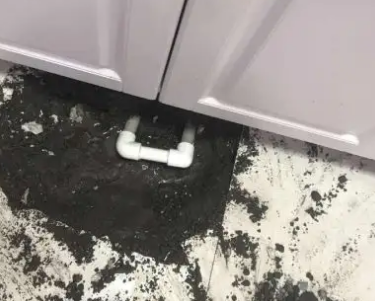 泰来查漏水哪家好