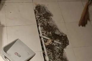 泰来卫生间漏水检测电话